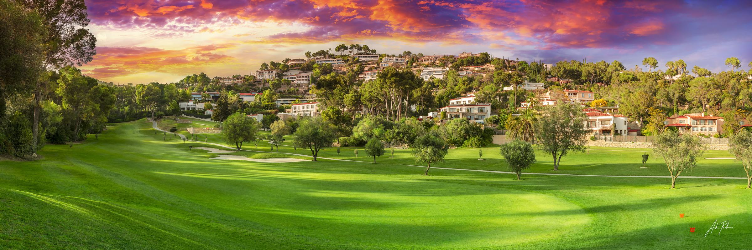 Icon 1964 – The Soul of Son Vida